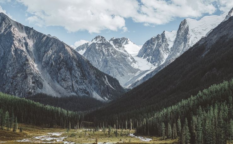 广州作为财务会计师，我主要关注企业的财税合规、成本控制与报表分析。如果您是想在北京设立一家移民服务公司，我可以从财务与税务角度给您一份“落地清单”；如果您是个人想找北京移民公司办业务，我也可以提示您如何核查对方资质并识别财务风险。请告诉我您属于哪一种场景，我再展开说明。